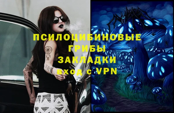 амф Кукмор