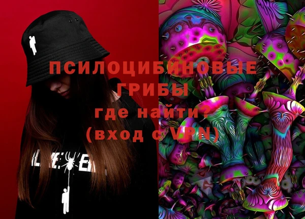 амф Кукмор