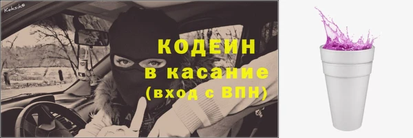 прущие грибы Кодинск