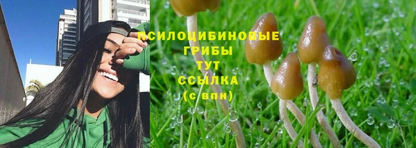 таблы Корсаков