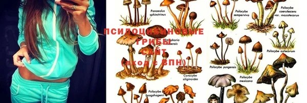 соль курить ск Коряжма