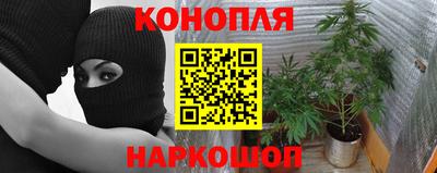 ECSTASY Балашиха