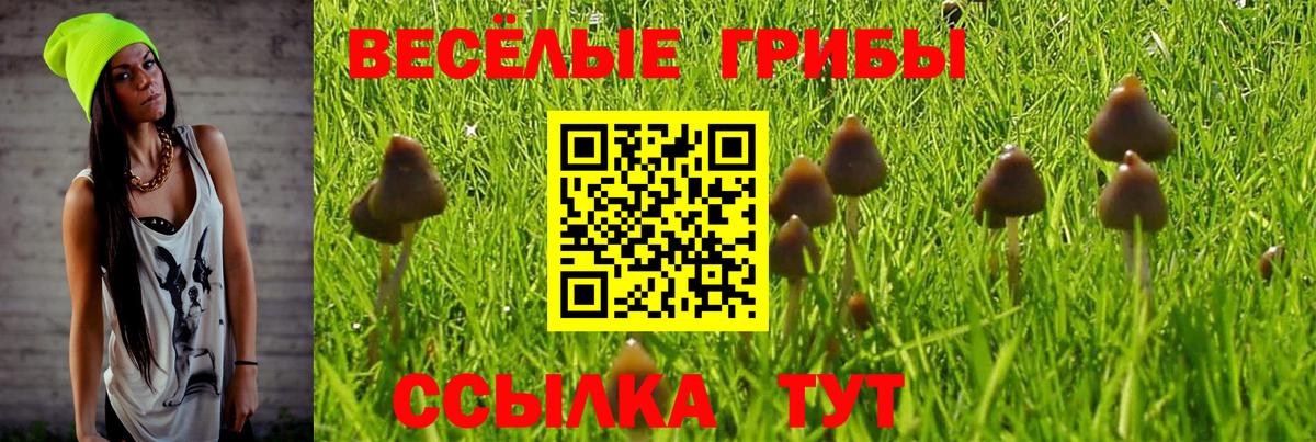 А ПВП Курганинск