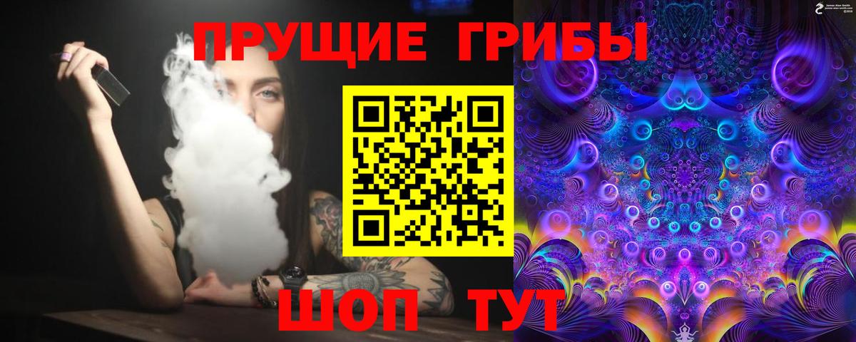 Псилоцибиновые грибы Psilocybe  Вход с VPN  Курганинск 