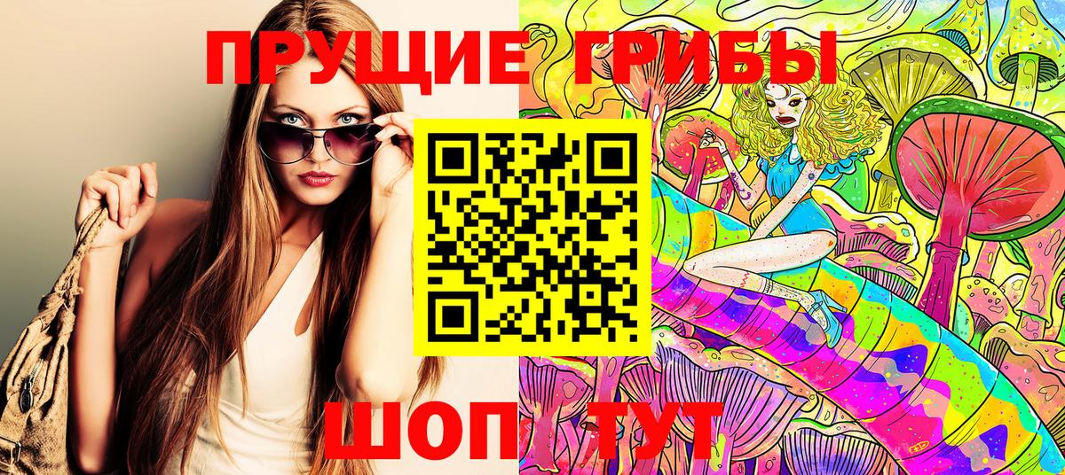 сколько стоит  Курганинск  Псилоцибиновые грибы GOLDEN TEACHER 