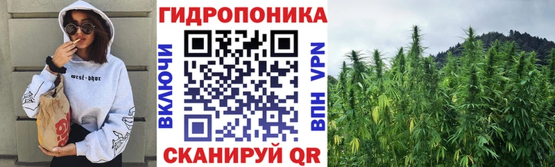 как найти наркотики  OMG ССЫЛКА  Шишки марихуана AK-47  Курганинск 